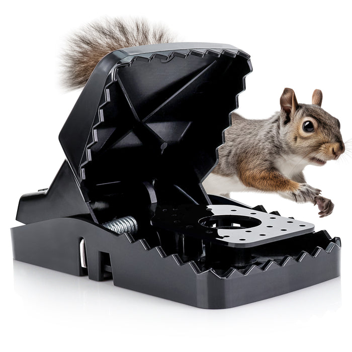 eXuby Squirrel Trap (2 pack) - Consistent & Humane Kill Every Time - No Failures - Powerful & Deadly Spring - 5" Large Opening - 96% Instant Kill - For Attic, Garden, Forest &more -Reusable -Easy Setup