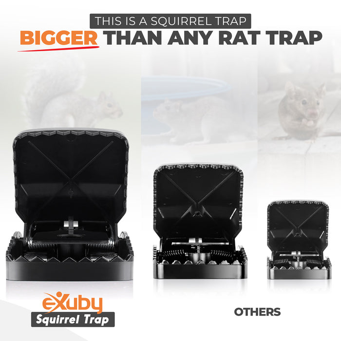 eXuby Squirrel Trap (2 pack) - Consistent & Humane Kill Every Time - No Failures - Powerful & Deadly Spring - 5" Large Opening - 96% Instant Kill - For Attic, Garden, Forest &more -Reusable -Easy Setup