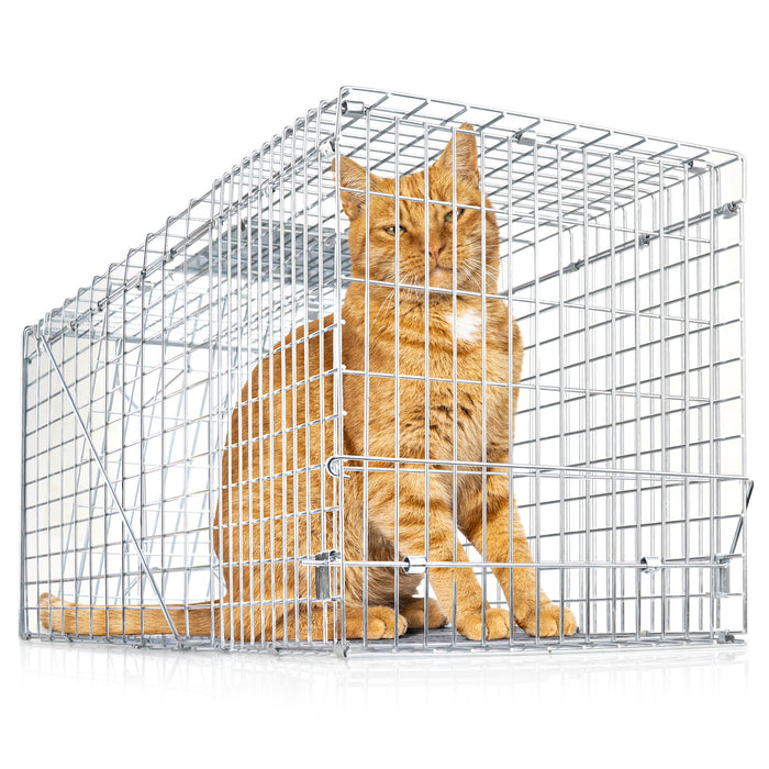 eXuby Large Cat Trap for Stray / Feral Cats & Other Animals - 31"x12"x13” - Catch them Live & Relocate - Extra Large 8.5" Trigger Platform - Also for; Racoon, Rabbit, Possum, Skunk, Bobcat, Squirrel