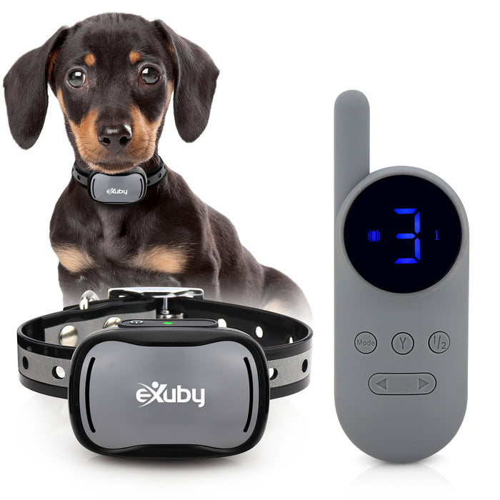 eXuby - Tiny Shock Collar for Small Dogs 5-15lbs - Smallest Collar on The Market - Sound, Vibration, Shock - 9 Intensity Levels - Pocket-Size Remote - Long Battery Life - Water-Resistant - Gray & Black