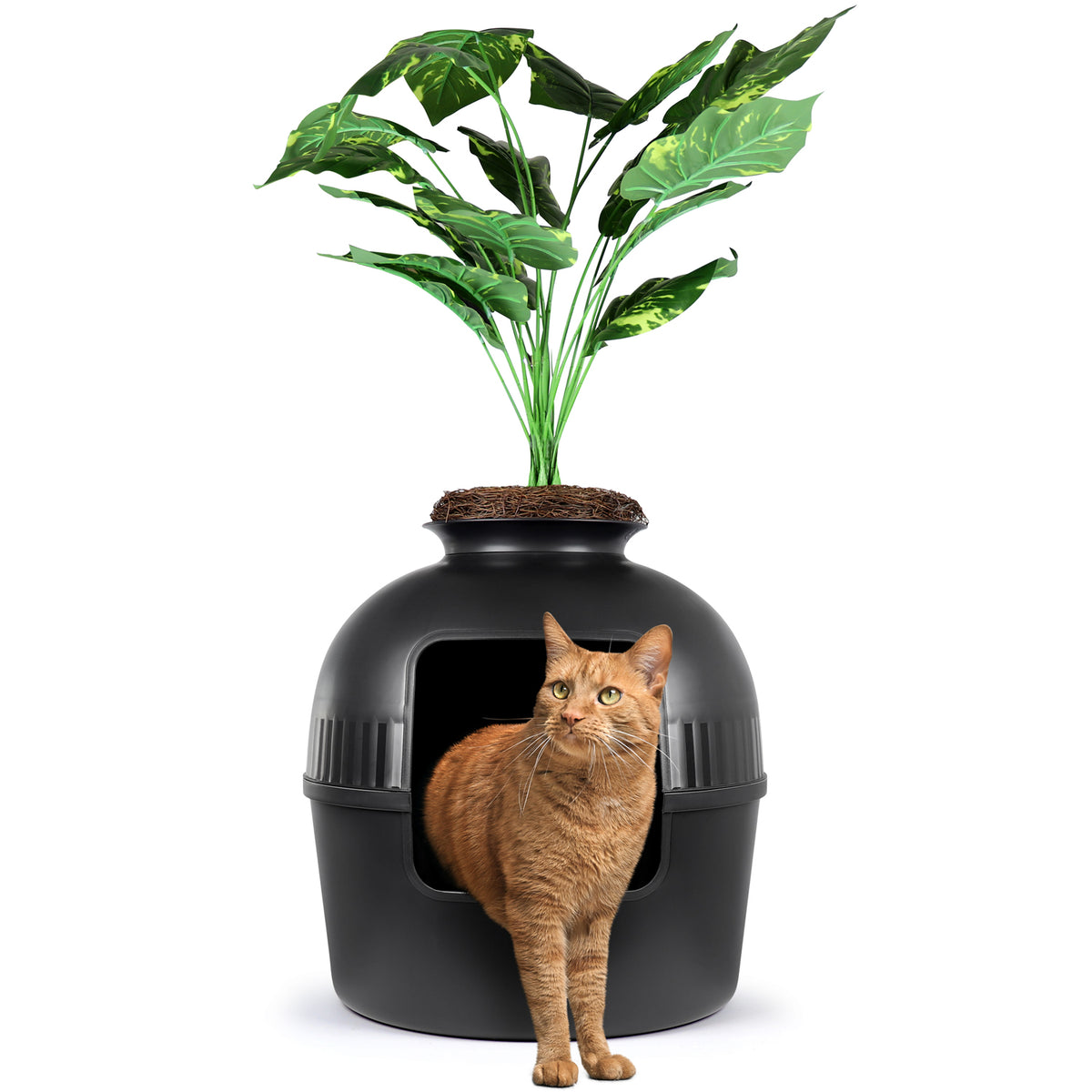 house plant litter box eXuby Hidden Litter Box for Cats