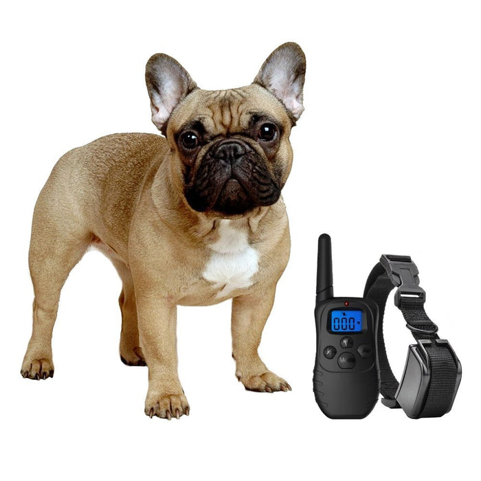 eXuby Shock Collar for Small Dogs with Remote - Small & Medium and Tra Product Prodigy Online Store eXuby Shock Collar for Small Dogs with Remote - Small & Medium and Tra Product Prodigy Online Store