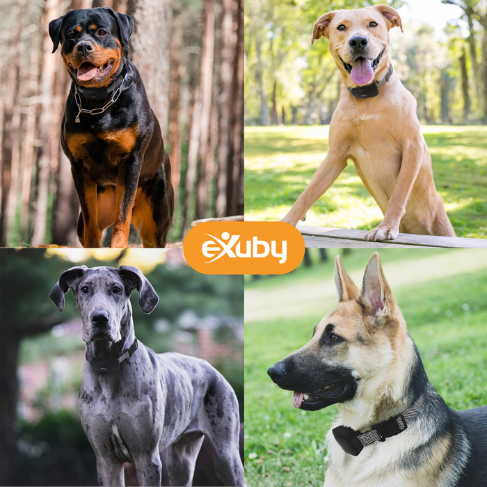 eXuby Shock Collar for Large Dogs (40 to 120lbs) - Extra Wide 2.9 Inch Receiver Comfortably Fits on Large Dog’s Neck - Waterproof - Sound, Vibration & Shock - 16 Intensity Levels - Long Battery Life