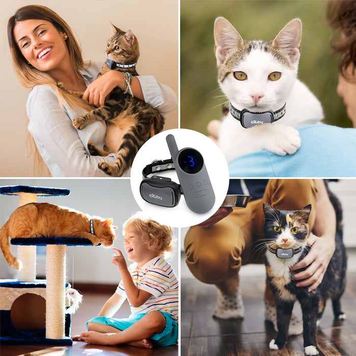 Small Cat Shock Collar w/Remote - Designed for Training Cats - Prevents Unwanted Meowing, Scratching & Roaming - Sound, Vibration & Shock Modes - 9 Intensity Levels - Water-Resistant (Gray/White)