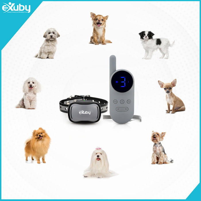 eXuby - Tiny Shock Collar for Small Dogs 5-15lbs - Smallest Collar on The Market - Sound, Vibration, Shock - 9 Intensity Levels - Pocket-Size Remote - Long Battery Life - Water-Resistant - Gray & Black