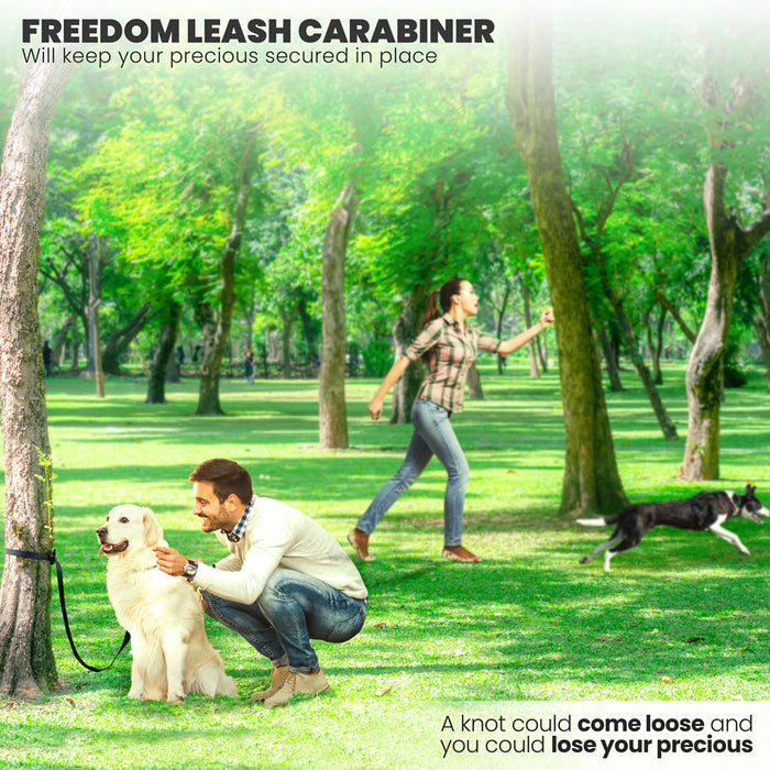 Freedom Carabiner Dog Leash to Wrap Around Poles, Trees or Benches - Carabiner Holds Bags, Purses to Free Up Your Hands, Walking Leash for Small, Medium and Large Pets