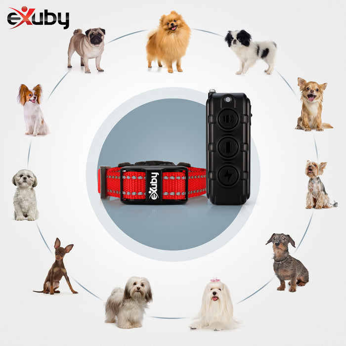 eXuby Extra Small Shock Collar for Small Dogs 5-15lbs - Gentle Plastic Prongs (no harsh metal prongs) - Compact & Simple Remote - Dedicated Buttons for Sound, Vibration & Shock - 1000ft Distance