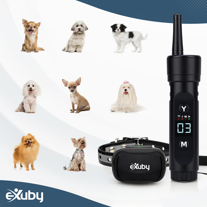 eXuby Small Dog Shock Collar 5-15 Pounds - Stop Your Pooch from Excessive Barking, Biting, Attacking, Running into Street & more - Perfect for Small Dogs - Easy to Use - Choose Between Sound/Vibration/Shock