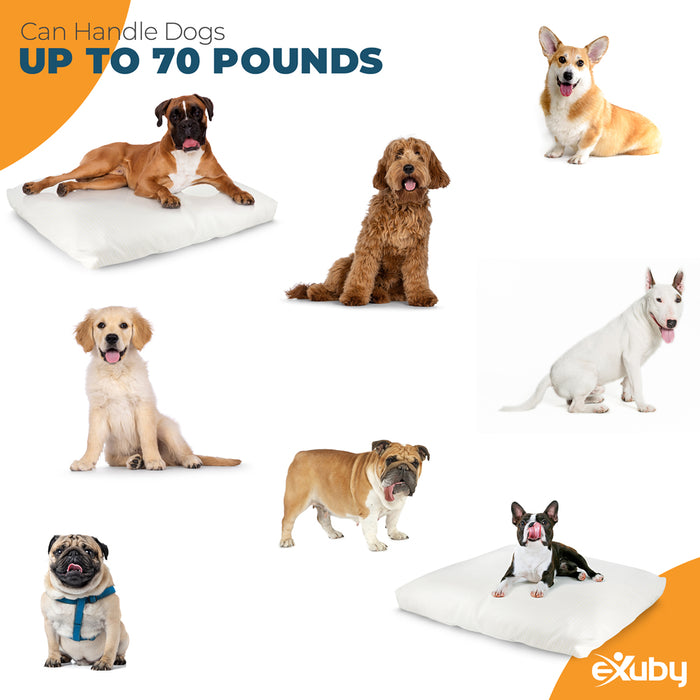 eXuby Indestructible Dog Bed (perfect for crates) - Puncture Proof Woven Fabric - Industrial Stitching - Highly Durable Zipper - Waterproof Inner Layer - 33x27