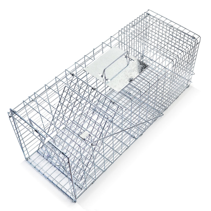 eXuby Large Cat Trap for Stray / Feral Cats & Other Animals - 31"x12"x13” - Catch them Live & Relocate - Extra Large 8.5" Trigger Platform - Also for; Racoon, Rabbit, Possum, Skunk, Bobcat, Squirrel